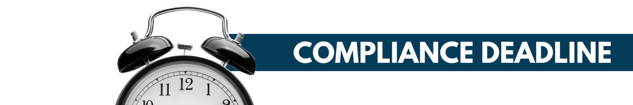 natural health products regulations, product licence holder,