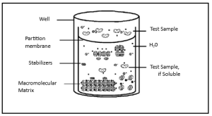 ocular irritection model